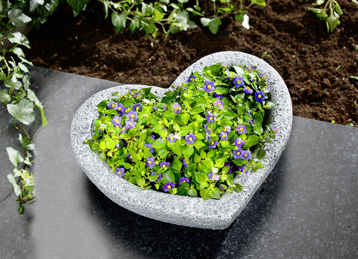 Blumentöpfe und Pflanzgefässe - Herz-Pflanzschale aus wetterfestem Polyresin, in Farbe GRAU