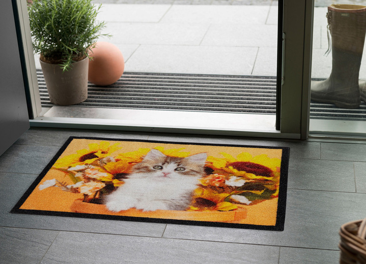 Fussmatten - Fussmatte mit Katzen-Motiv, in Farbe BUNT Ansicht 1