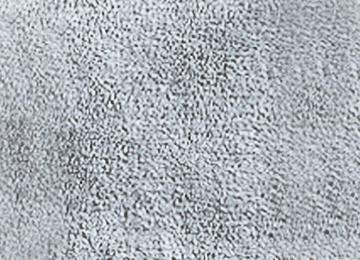 Sessel- & Sofaüberwürfe - BORBO Wohndecke und Sesselschoner mit Fransenabschluss, in Größe 102 (Sesselschoner, 50x200 cm) bis 325 (Sparset, 3-teilig), in Farbe SILBER Ansicht 1
