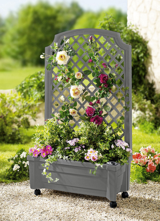 Blumentöpfe und Pflanzgefässe - Roll-Pflanzkasten mit Spalier, in Farbe GRAU Ansicht 1