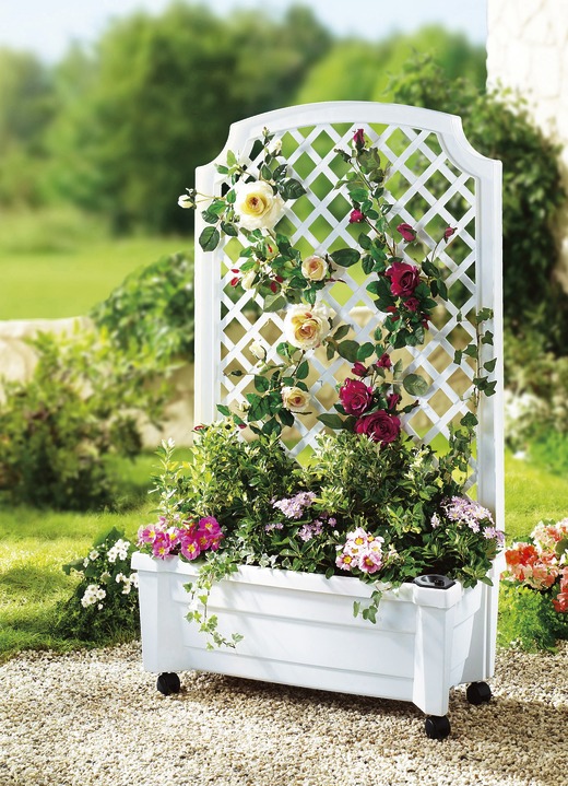 Blumentöpfe und Pflanzgefässe - Roll-Pflanzkasten mit Spalier, in Farbe WEISS Ansicht 1