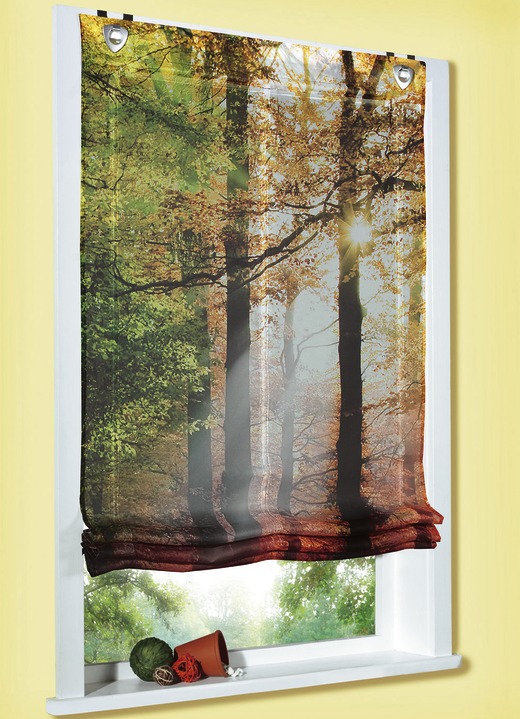 - Raffrollo, Herbsttag, in Größe 316 (H140xB 45 cm) bis 324 (H140xB100 cm), in Farbe