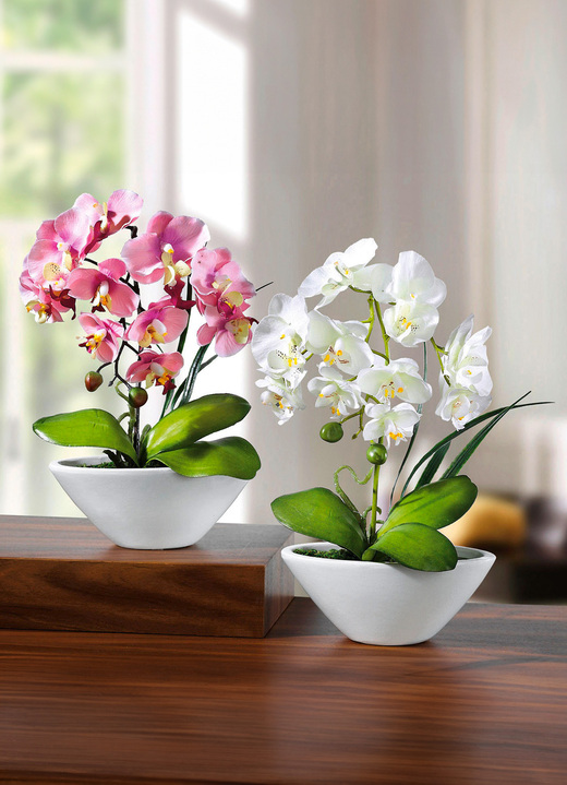 Kunst- & Textilpflanzen - Orchideen in weissen Keramikschalen, 2er-Set, in Farbe