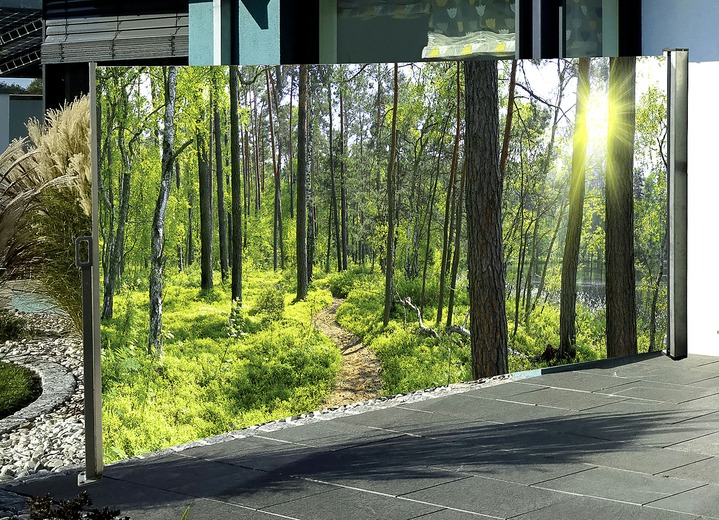 Sichtschutz und Sonnenschutz - Seitenmarkise Wald, in Farbe , in Ausführung Kassette rechts, Auszug nach links Ansicht 1