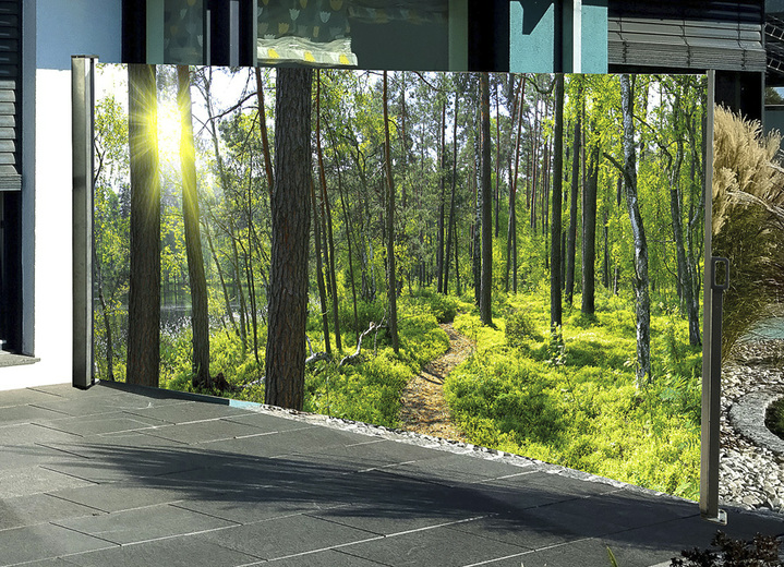 Sichtschutz und Sonnenschutz - Seitenmarkise Wald, in Farbe , in Ausführung Kassette links, Auszug nach rechts Ansicht 1