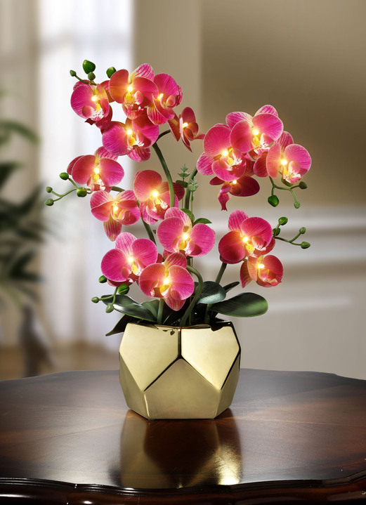 - Beleuchtetes Orchideen-Gesteck, in Farbe FUCHSIA-GOLD