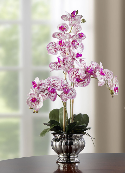 - Farbenprächtige Orchidee im Topf, in Farbe ROSA Ansicht 1