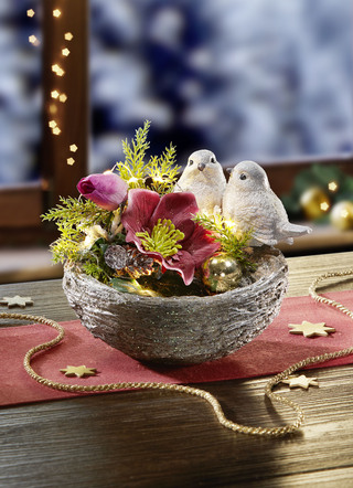 Beleuchtete Schale mit Christrosen