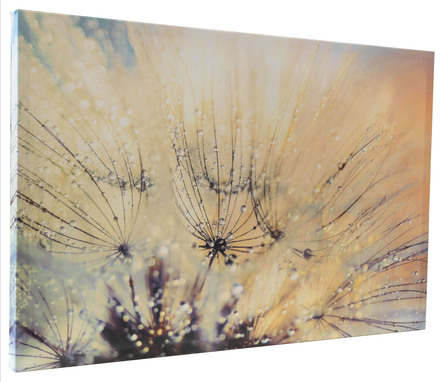Leinwand Bild mit Zertifikat