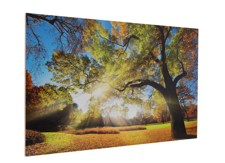 Hochwertiges Kunstdruck Bild