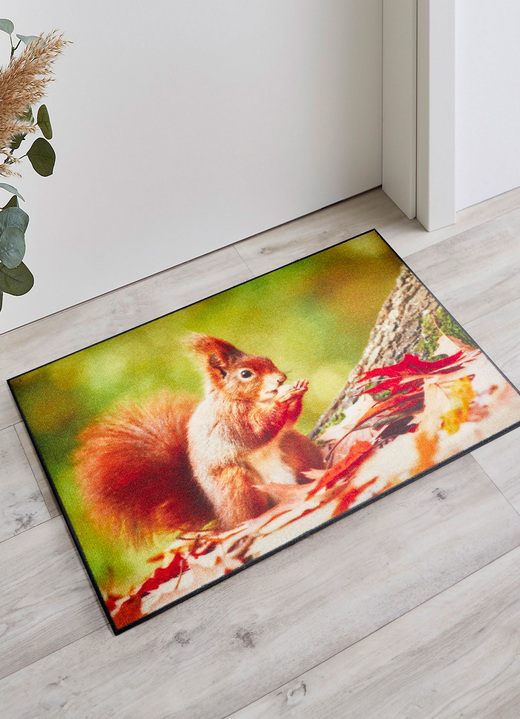 Fussmatten - Fussmatte  mit Eichhörnchen-Motiv, in Farbe BUNT Ansicht 1
