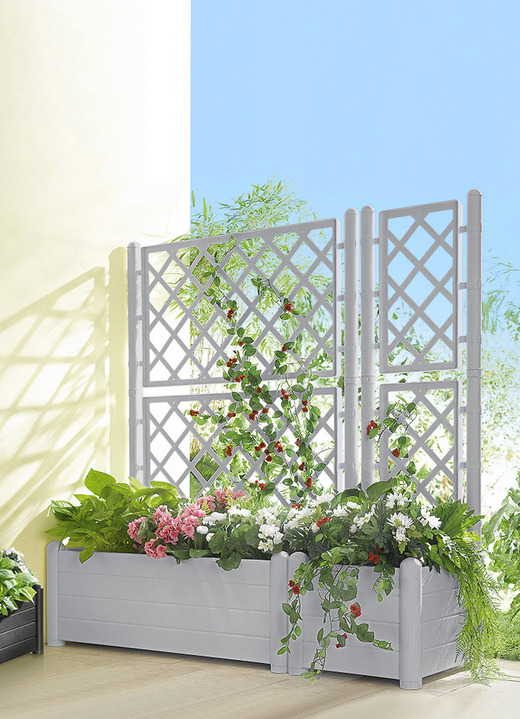 Blumentöpfe und Pflanzgefässe - Pflanzkasten mit Spalierwand, in Farbe STEINGRAU, in Ausführung Pflanzkasten klein Ansicht 1