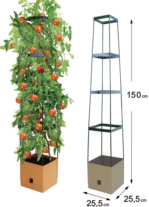 Blumentöpfe und Pflanzgefässe - MAXITOM Tomaten-Rankhilfe Komplett-Set, in Farbe TERRA Ansicht 1