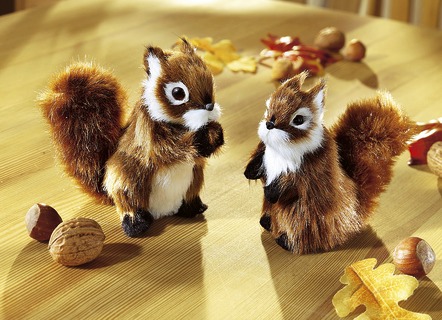 Eichhörnchen, 2er-Set
