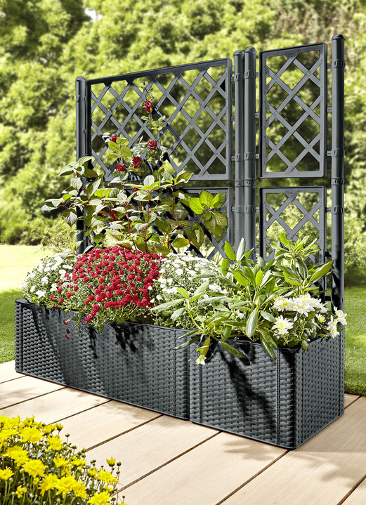 Blumentöpfe und Pflanzgefässe - Pflanzkasten in moderner Rattan-Optik, in Farbe ANTHRAZIT, in Ausführung Pflanzkasten, klein, ohne Spalierwand Ansicht 1