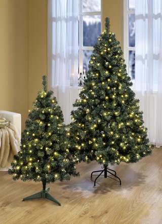 Beleuchteter Tannenbaum