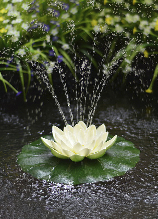 - Solar-Seerose in verschiedenen Farben, in Farbe WEISS Ansicht 1