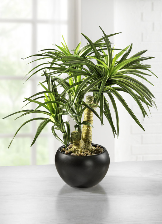 Kunst- & Textilpflanzen - Yucca-Bonsai im Topf aus Keramik, in Farbe GRÜN