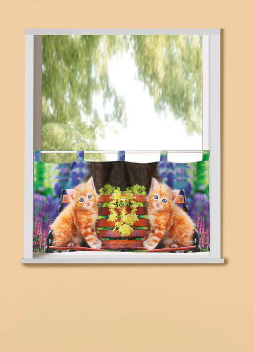 - Kurzvorhang Kätzchen mit Schlaufen, in Größe 786 (H45xB 85 cm) bis 790 (H45xB155 cm), in Farbe MULTICOLOR