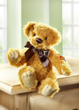 Teddybär Mathes aus Softplüsch