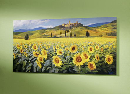 Bild mit einem Sonnenblumenfeld