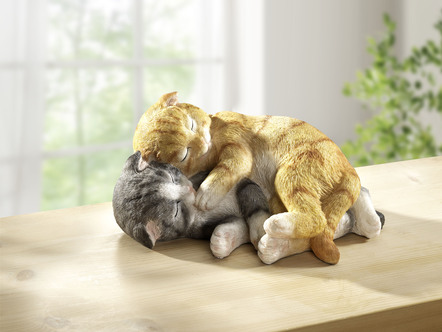 Kuschelnde Katzen