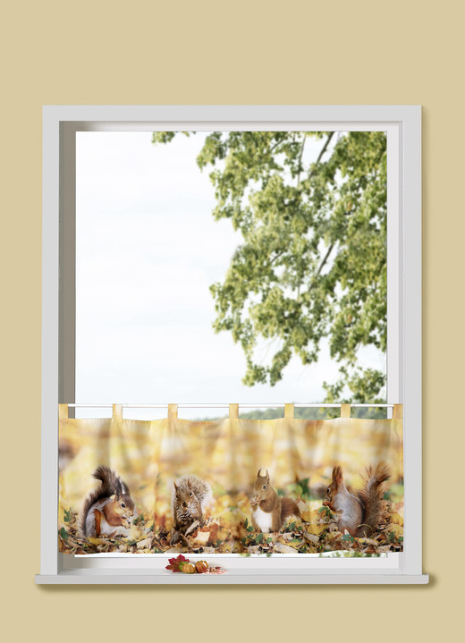 - Kurzstore «Eichhörnchen» mit Schlaufen, in Farbe BUNT Ansicht 1