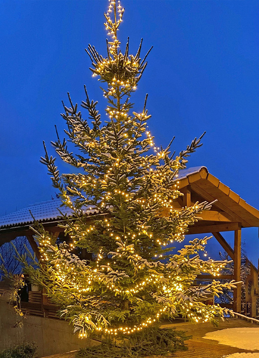 Weihnachten - Clusterlichterkette mit 1000 LEDs auf Kabeltrommel, in Farbe SCHWARZ Ansicht 1