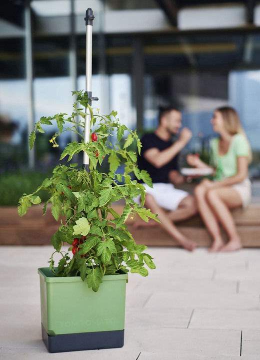 Blumentöpfe und Pflanzgefässe - Gusta Garden Tom Tomato mit Bewässerungssystem, in Farbe GRÜN
