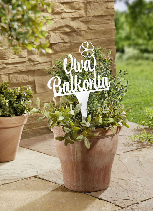 Gartendekoration - Gartenstecker aus Eisen, in Farbe WEISS, in Ausführung Gartenstecker Viva Balkonia Ansicht 1