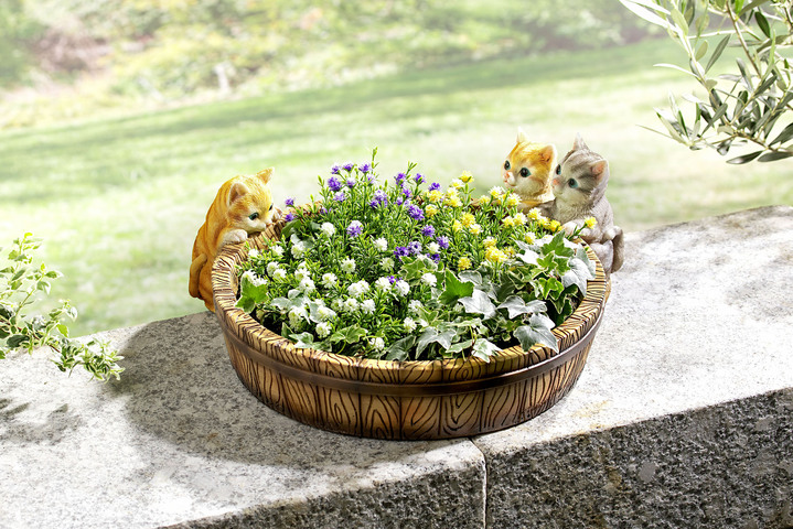 Blumentöpfe und Pflanzgefässe - Pflanzschale «Kätzchen», in Farbe BUNT Ansicht 1