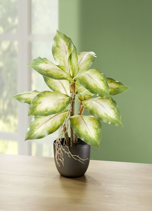 Kunst- & Textilpflanzen - Täuschend echt wirkende Dieffenbachia, in Farbe GRÜN