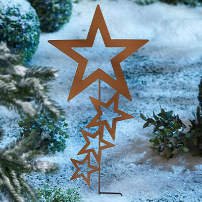 Bewerbung des Bereiches Winterlicher Garten