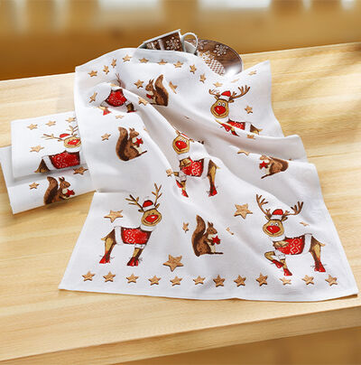 Bewerbung des Bereiche Haushaltshelfer