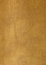 Stuhlhusse in Samtoptik GOLD