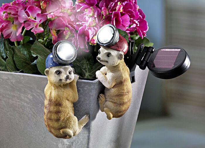 Solar-Topf-Deko &laquo;Erdm&auml;nnchen&raquo;, 2er-Set 