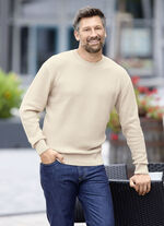 Rundhalspullover mit Strukturdessin in 3 Farben BEIGE