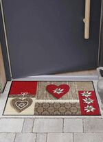 Fussmatte mit rutschhemmender Rückseite 