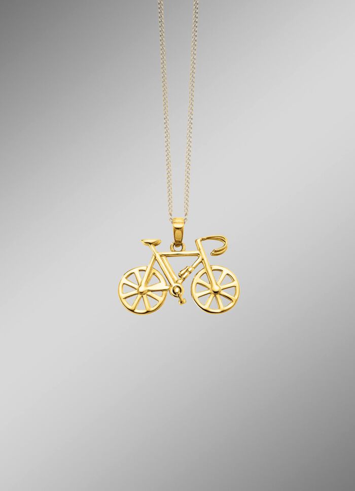 Fahrrad-Anh&auml;nger aus Gold  