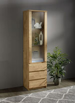 Vitrine in modernem Design EICHE