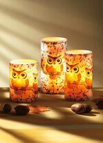 LED-Echtwachskerzen «Eulen», 3er-Set 