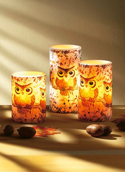 LED-Echtwachskerzen «Eulen», 3er-Set 