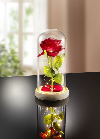 Dekoration Ewige Rose mit LED-Beleuchtung - 