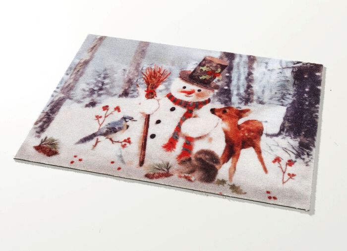 Fussmatte mit rutschhemmender R&uuml;ckseite 