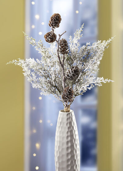 Thuja-Zweig mit echten Zapfen 