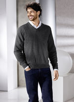 Unifarbener V-Pullover in 4 Farben, 