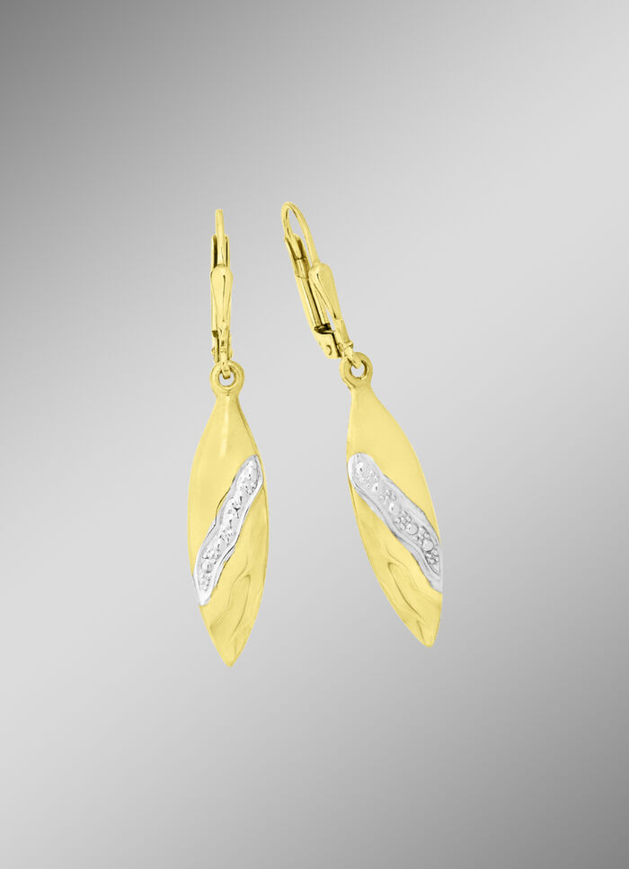 Tolle Ohrringe in Bicolor 