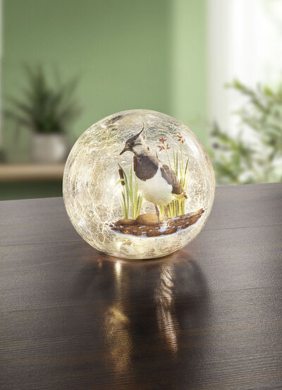 Glaskugel mit Beleuchtung - 