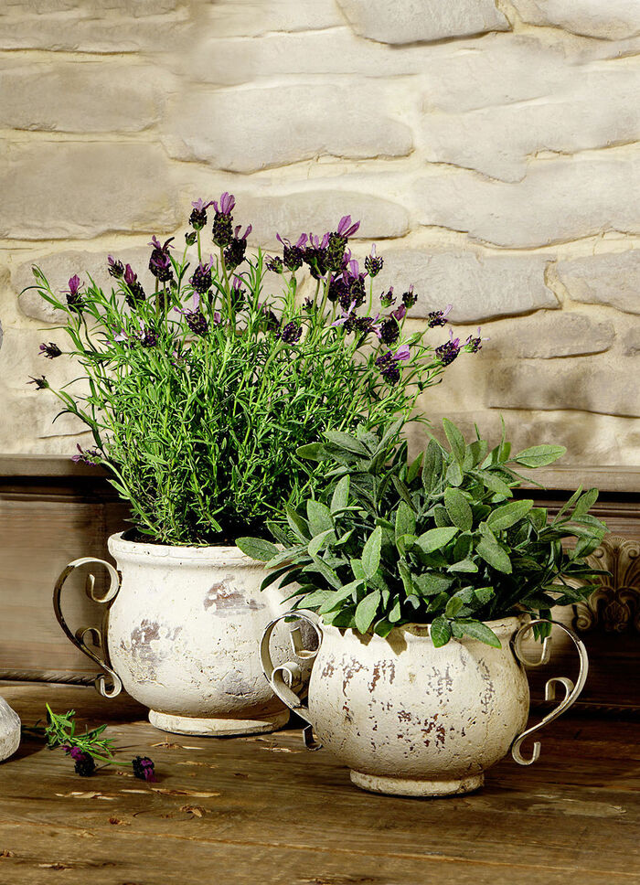 Jardiniere, in 2 Gr&ouml;ssen 