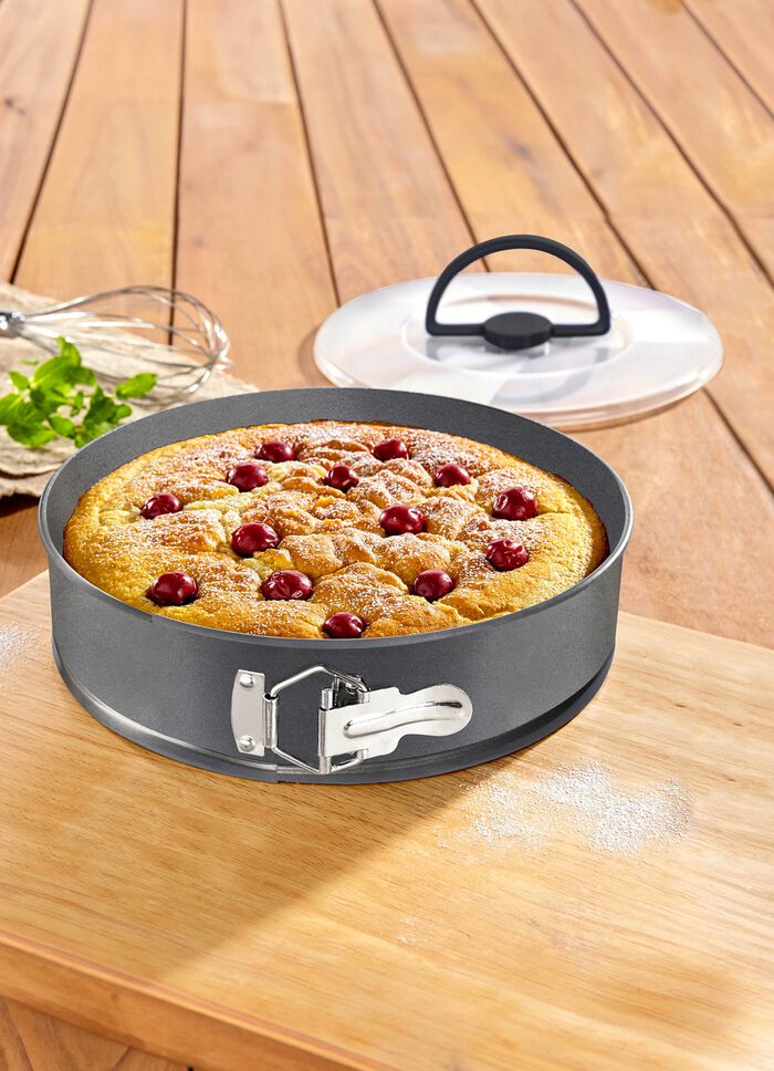 Springform mit Transportdeckel 